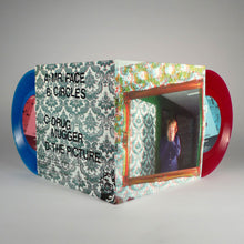 Load image into Gallery viewer, Ty Segall: Mr Face EP