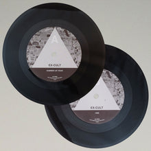 Load image into Gallery viewer, Ex-Cult: Summer Of Fear / 1906