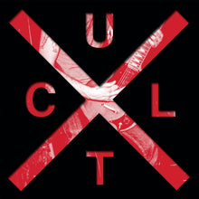 Load image into Gallery viewer, Ex-Cult: Summer Of Fear / 1906