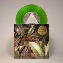 Load image into Gallery viewer, Meatbodies: Valley Girl / Hibernation