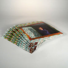 Load image into Gallery viewer, Ty Segall: Mr Face EP