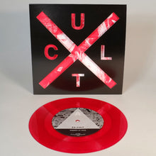 Load image into Gallery viewer, Ex-Cult: Summer Of Fear / 1906