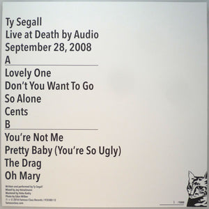 Ty Segall: Live at Death By Audio 2008