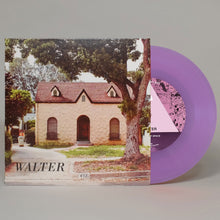 Load image into Gallery viewer, WALTER: Poetics Of Space / Like The Fly