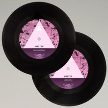 Load image into Gallery viewer, WALTER: Poetics Of Space / Like The Fly