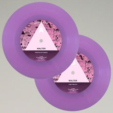 Load image into Gallery viewer, WALTER: Poetics Of Space / Like The Fly