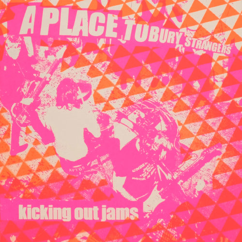 A Place To Bury Strangers: Kicking Out Jams